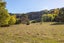 205 Caveland Road, Masterton - Carousel 23