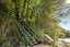 0 Blackwood Bay, Blackwood Bay, Marlborough Sounds - Carousel 17