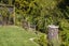 11 Styxspring Lane, Harewood, Christchurch - Carousel 15