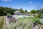 15B Lowe Road, Hamilton - Carousel 21