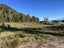 0 State Highway 7, Ikamatua, Blackball - Carousel 4