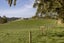 166A Te Tuhi Road, Okauia, Matamata - Carousel 39