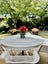 3 Carniew Place, Dannemora, Auckland - Carousel 27