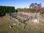 215 Reserve Road, Balcairn - Carousel 22