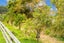 14 Ti Kouka Way, Kaiwaka - Carousel 49