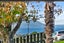 20 Albert Street, Leigh, Rodney, Auckland - Carousel 18