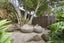 31 Sainsbury Road, Mount Albert, Auckland - Carousel 19
