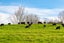 272 Huarau Road, Maungaturoto - Carousel 23