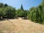 39 Letts Gully Road, Letts Gully, Alexandra - Carousel 12