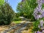 95 Valentine Road, Bridge Pa, Hastings - Carousel 25