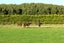 270 Roslyn Road, Roslyn Bush, Invercargill - Carousel 2