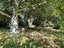 0 Ipswich Street, Hampden, Hampden - Carousel 11