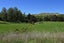 752A Ponatahi Road, Martinborough, Carterton - Carousel 1