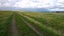 0 State Highway 1, Himatangi, Foxton - Carousel 3