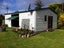 25 Hilton Street, Blackball, Greymouth - Carousel 5