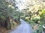 7 Lavinia Place, Kawau Island, Kawau Island - Carousel 2