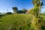 1516 State Highway 1, Glen Oroua, Foxton - Carousel 3