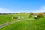 141 Karioitahi Road, Waiuku, Waiuku - Carousel 21