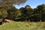 752A Ponatahi Road, Martinborough, Carterton - Carousel 7