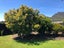 426 Abel Tasman Drive, Takaka - Carousel 11