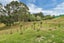 551 Snooks Road, Maungakaramea - Carousel 19