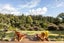 176 No 1 Road, Te Puke, Te Puke - Carousel 13