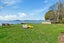 12 Waikuta Road, Ngongotaha, Rotorua - Carousel 1