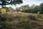 168 Stapletons Road, Richmond, Christchurch - Carousel 2