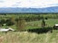 594 Hurunui Bluff Road, Hurunui, Hawarden - Carousel 3