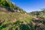 74 Curtis Street, Northland, Wellington - Carousel 12