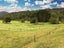 363 Vinegar Hill Road, Kamo - Carousel 19