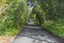 136 Lake Crescent, Hamilton Lake, Hamilton - Carousel 4