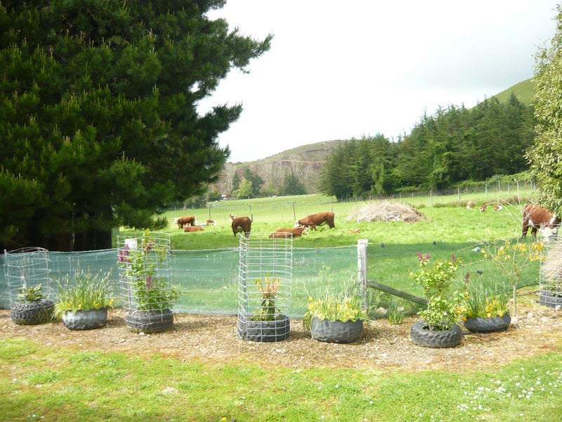 Property Valuation for 677 Mill Road, Waimate, Waimate Trade Me