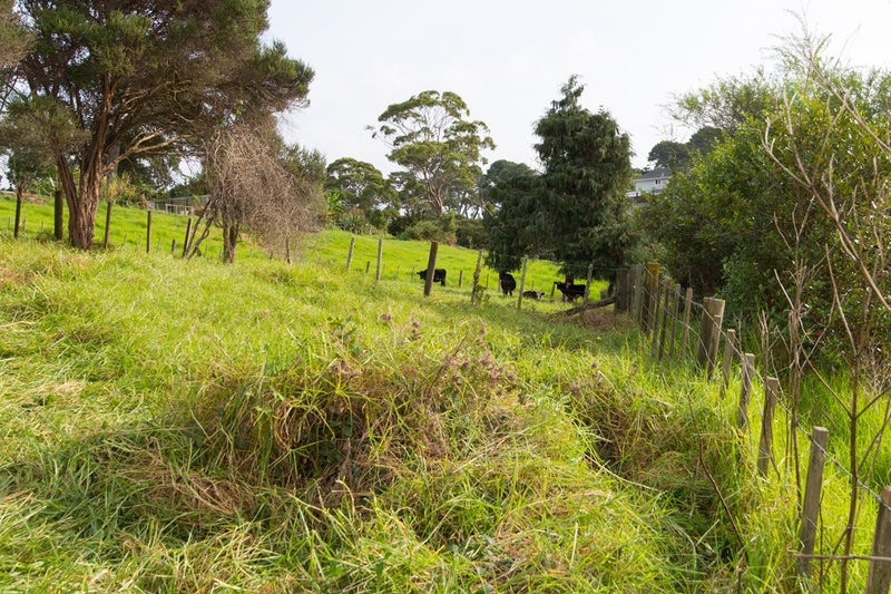 65 Kelmarna Avenue, Ponsonby, Auckland - Carousel 10