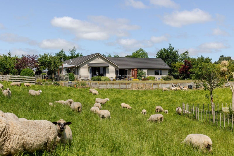 578 Sandon Road, Feilding, Feilding - Carousel 1