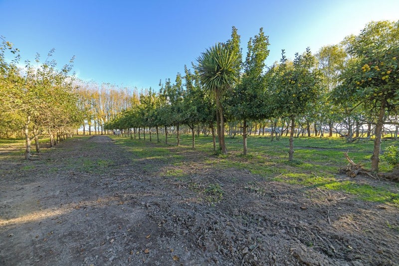 985 Parewanui Road, Bulls - Carousel 27