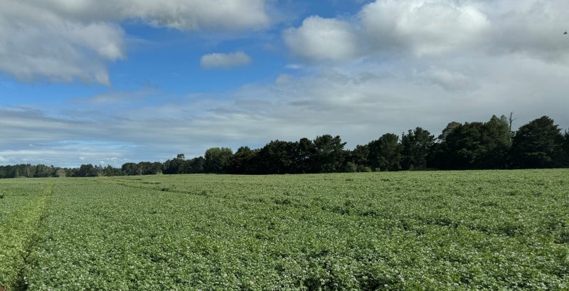 314 Campbell Road, Walton - Carousel 2