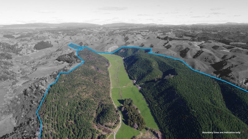 280 Mystery Valley Road, Paengaroa, Te Puke - Carousel 2