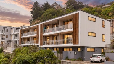 4/65 Tiketike Way, Brooklyn, Wellington - Carousel 1