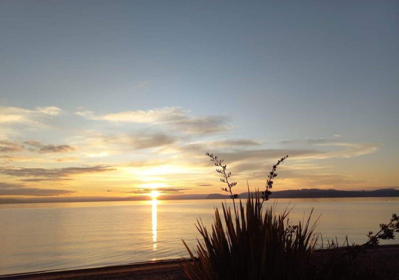 164 State Highway 1, Taupo - Carousel 25