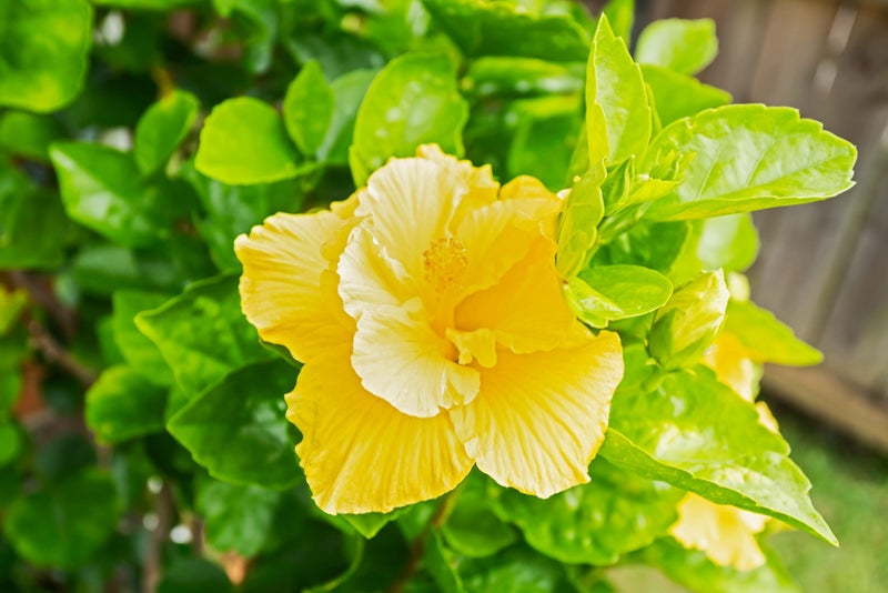 3/5 Brighton Road, Kensington, Whangarei, Northland - Carousel 18