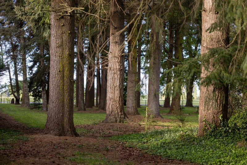 212 Beach Road, Ashburton, Ashburton, Canterbury - Carousel 50