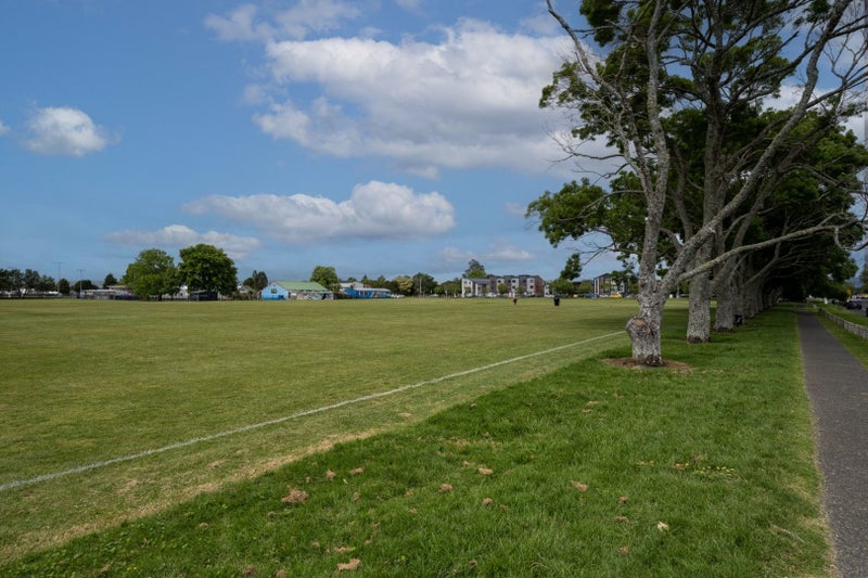 26E Eastdale Road, Avondale, Auckland - Carousel 19