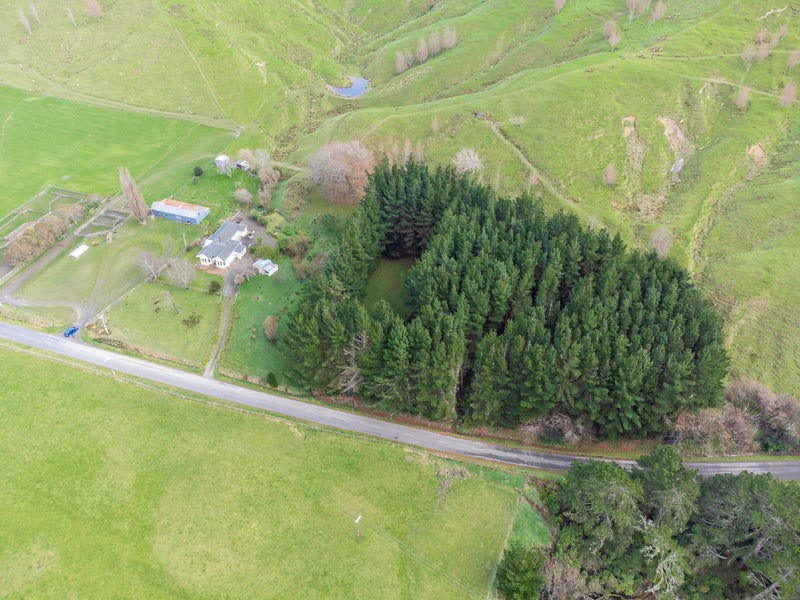 544 Alfredton Road, Eketahuna - Carousel 22