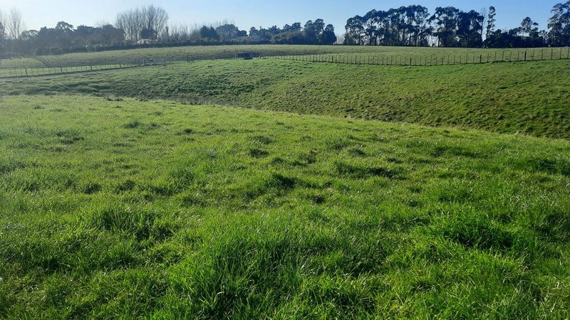 3 Williams Road, Tokomaru, Palmerston North - Carousel 13