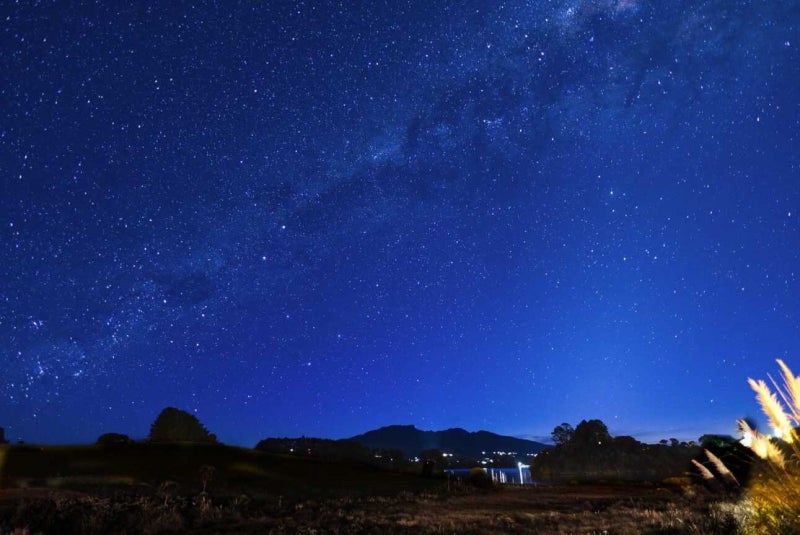 25 Robertson Street, Raglan, Raglan - Carousel 30