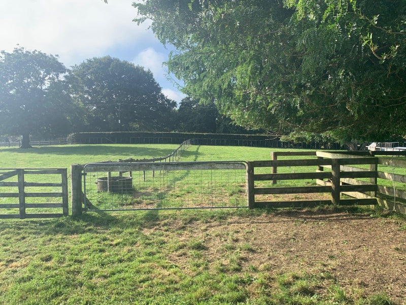 211 Tower Road, Matamata, Matamata - Carousel 2