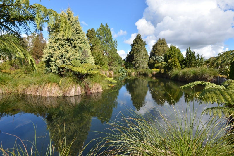 Property Valuation for 56 Springs Road, Poroti, Whangarei | Trade Me ...