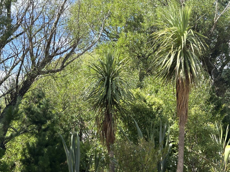 0 Castle Hill Rd, Alfredton, Eketahuna - Carousel 10