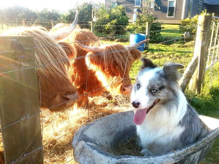 499A White Pine Bush Road, White Pine Bush, Whakatane - Carousel 35